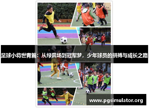 足球小将世青篇：从绿茵场到冠军梦，少年球员的拼搏与成长之路
