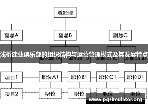浅析建业俱乐部的组织结构与运营管理模式及其发展特点
