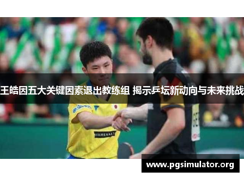王皓因五大关键因素退出教练组 揭示乒坛新动向与未来挑战